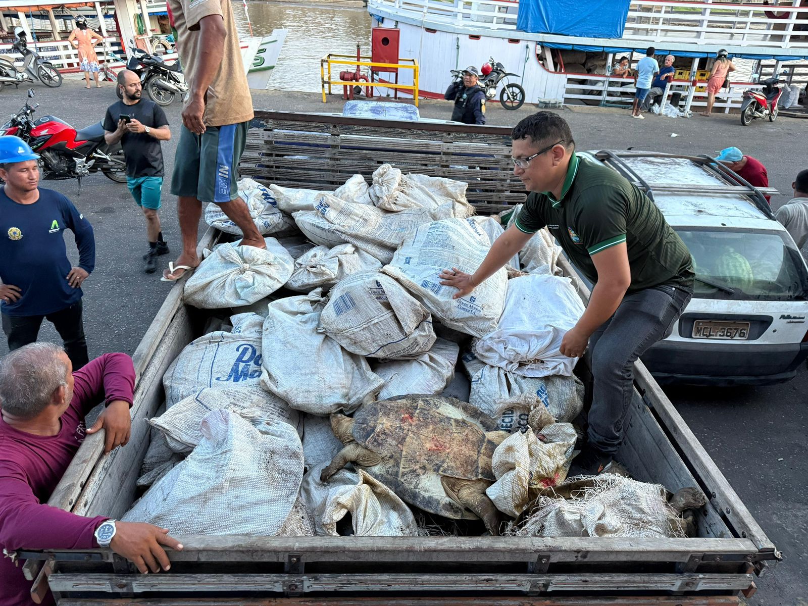 Carregamento ilegal com 49 tartarugas-da-Amazônia apreendido por fiscais ambientais no Porto de Parintins