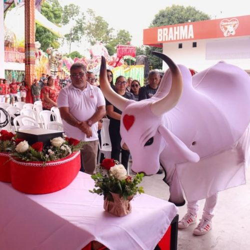 Boi Garantido presta homenagem ao compositor Tadeu Garcia