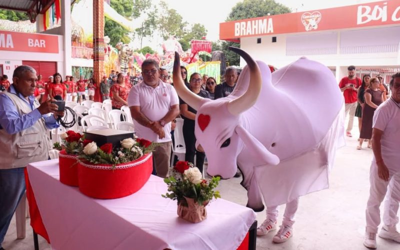 Boi Garantido presta homenagem ao compositor Tadeu Garcia