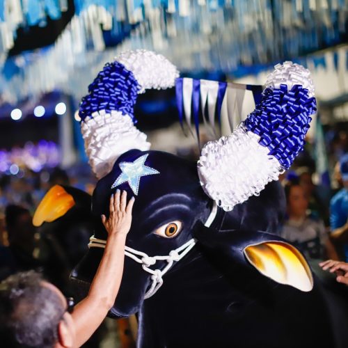 Com saídas do Palmares e Francesa, Caprichoso realiza neste sábado, 21, o maior Boi de Rua da história