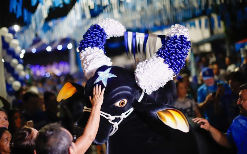 Com saídas do Palmares e Francesa, Caprichoso realiza neste sábado, 21, o maior Boi de Rua da história